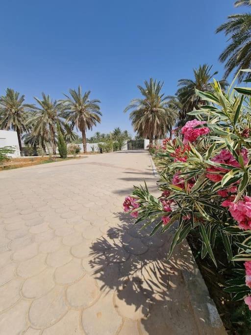 Vila Dar Jamila - Au Coeur De L'Oasis - Gábes Exteriér fotografie